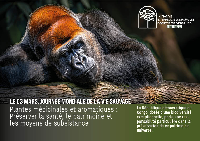 Le 3 mars, Journée mondiale de la vie sauvage – Préserver les plantes médicinales et aromatiques, préserver la vie 