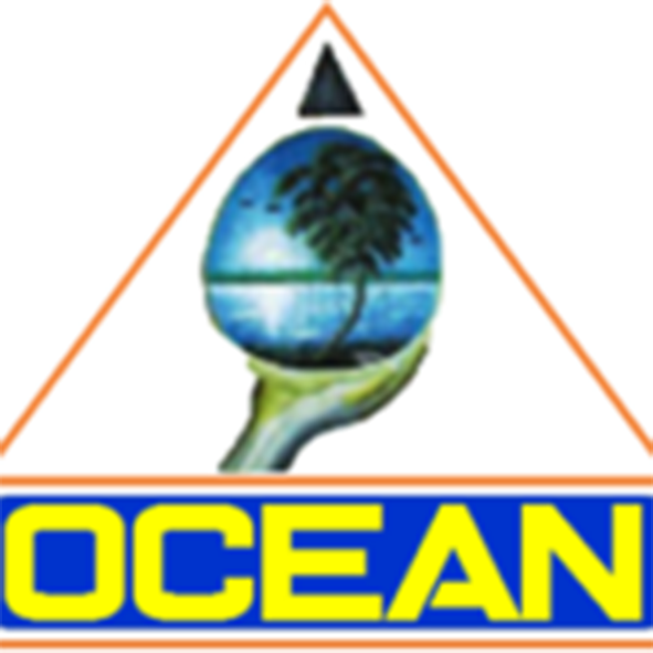 logo 9